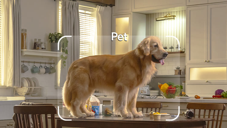 descr img